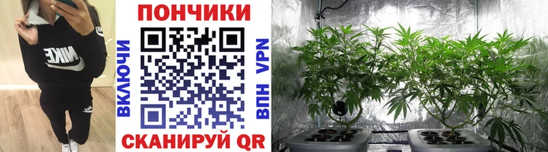 Наркошоп купить ГАШ  АМФЕТАМИН  Меф  НБОМе  КОКАИН  Конопля  Сердобск
