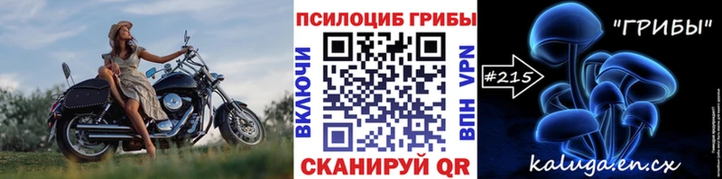 Купить где Сердобск Галлюциногенные грибы Magic Shrooms